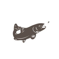 Osservazione della natura